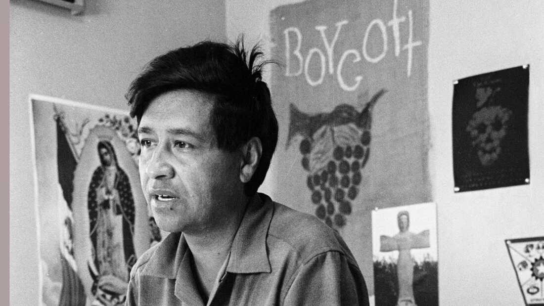Cesar Chavez, a farm worker, labor organizer and leader of the California grape strike, is seen in a California works office in 1965.
