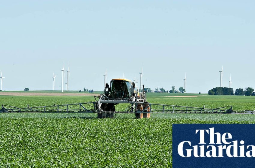  ‘It’s not sustainable’: US farmers reeling as Iran war pushes fertilizer costs up | US news