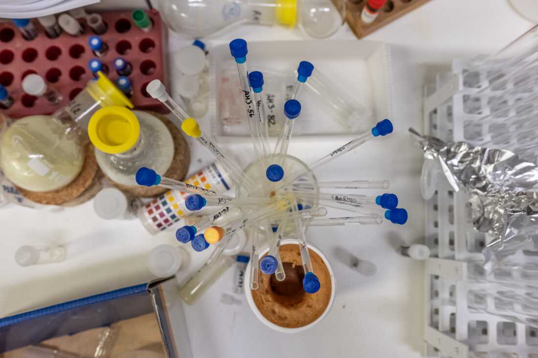 Equipment in a synthetic chemistry laboratory run by Professor Kelly Chibale at the University of Cape Town. Chibale and his colleagues are working to discover new drugs for a range of diseases.