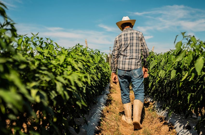  Study links common chemical to elevated Parkinson’s disease risk