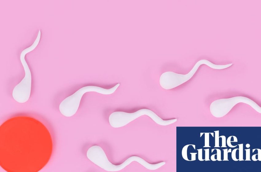  More frequent ejaculations may boost men’s fertility, research suggests | Fertility problems
