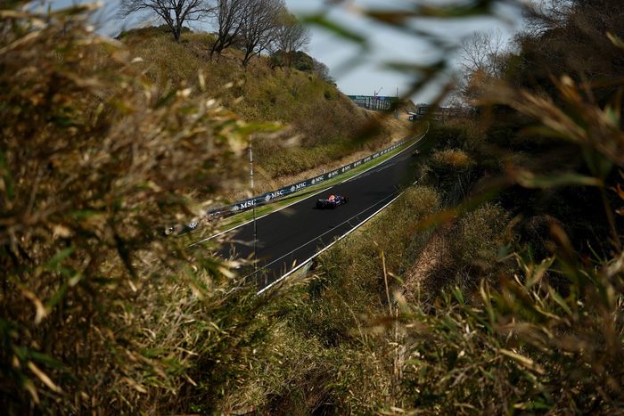 Max Verstappen, Red Bull Racing
