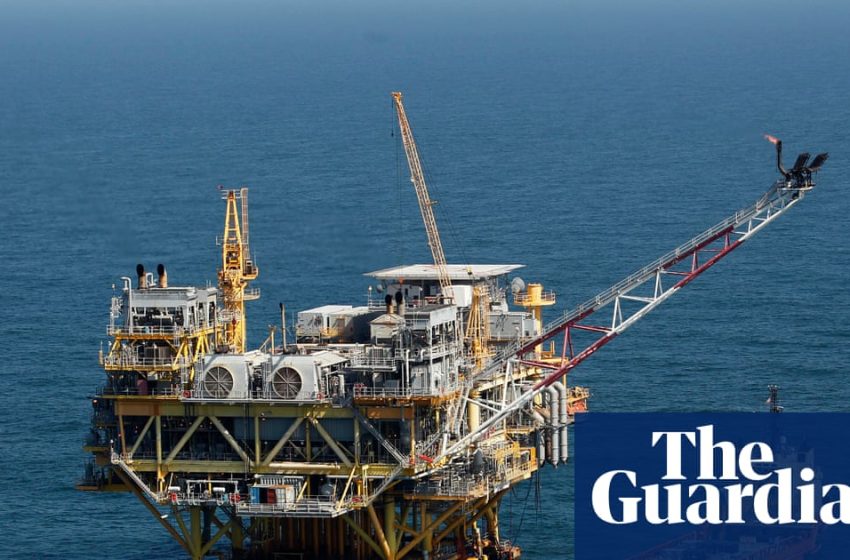  Trump to revoke protections for endangered species in Gulf of Mexico | Donald Trump