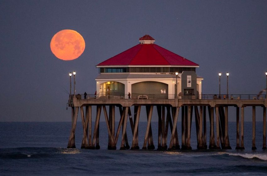  Exactly When To See The ‘Pink Moon’ Rise