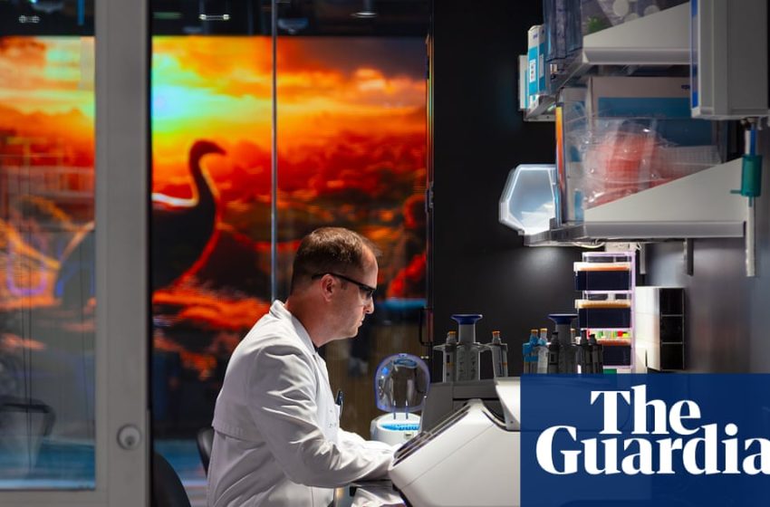  Can scientists really resurrect the dodo? Inside the company that says it can | US news