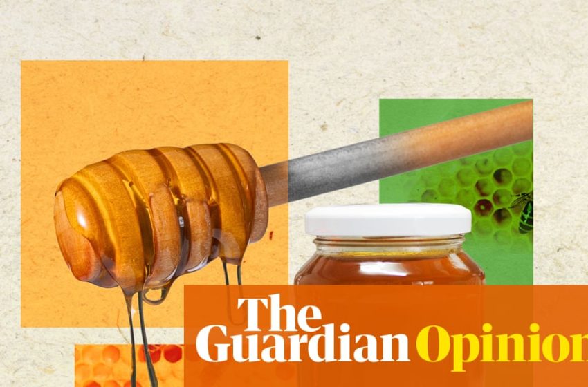  Honey as a superfood: can it really heal wounds, fight superbugs and provide sweet relief for coughs? | Donna Lu