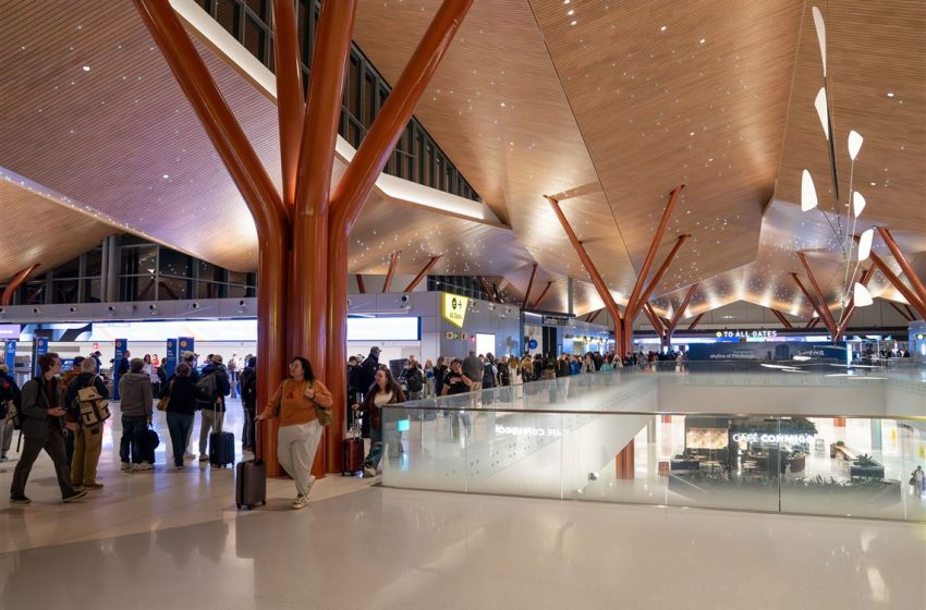  TSA lines — and worker discontent — growing as DHS shutdown stretches into second month