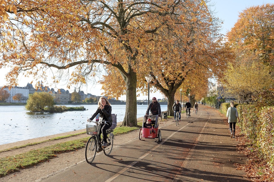 caption: A bicycle trail in Copenhagen