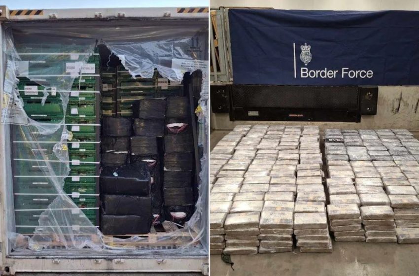  3 Men Charged as Police Find Nearly $100M Worth of Cocaine Hidden in Bananas