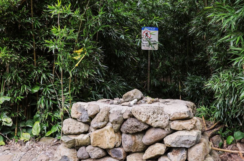  Wife of Maui doctor describes terrifying birthday hike at attempted murder trial