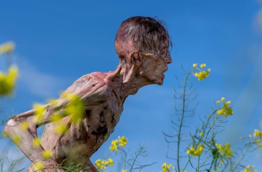  6 Horrifying Fictional Diseases and Their Real-Life Inspirations