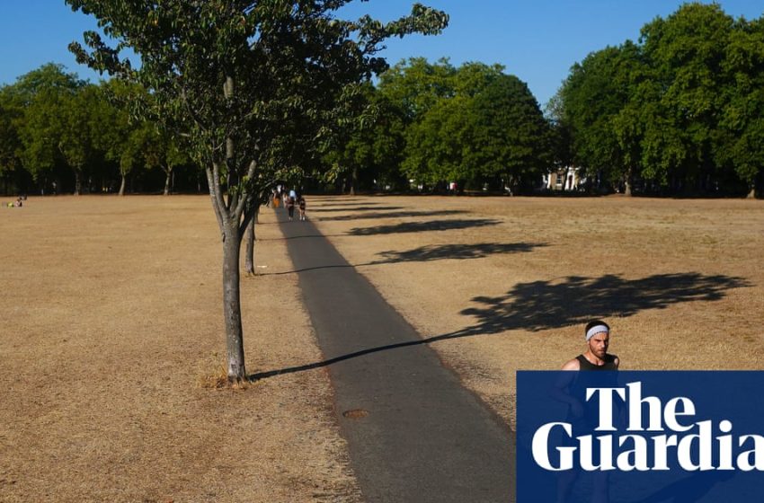  Reduced physical activity due to global heating will lead to rise in health issues, study says | Climate crisis