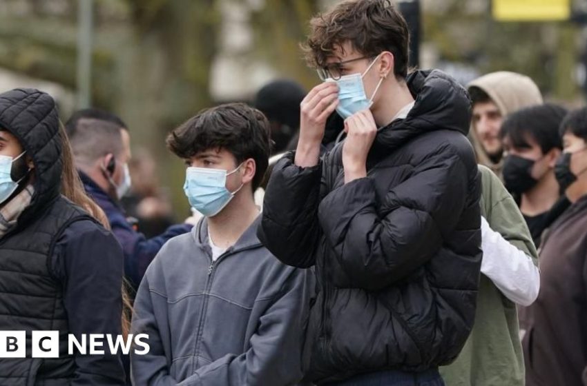  Experts answer your questions on Kent meningitis outbreak – BBC