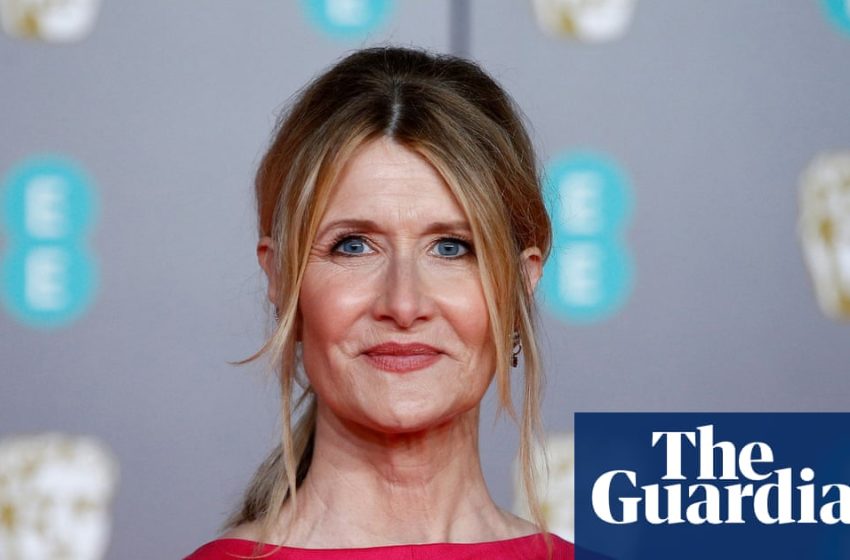  Laura Dern to star in Epstein investigation limited series from Adam McKay | Television & radio