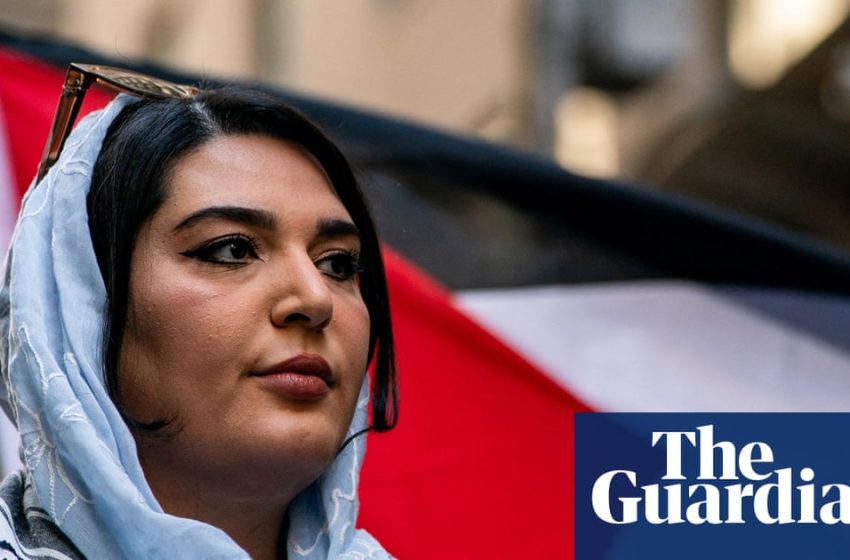  US law enforcement foils plot to assassinate Palestinian American activist | New York