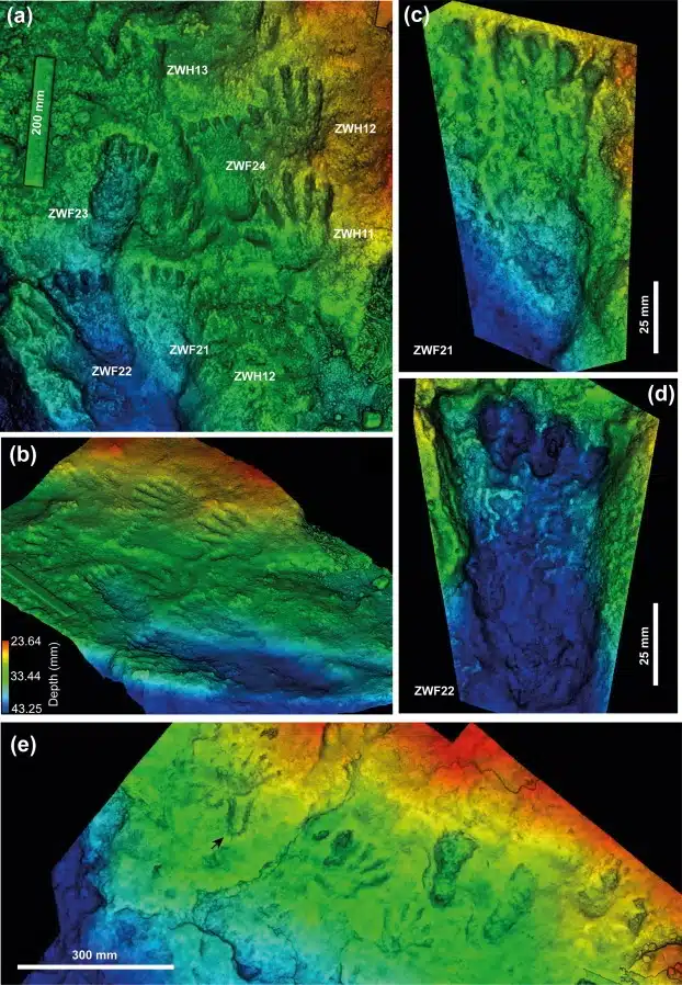 3d Scans Revealing Depth And Structure Of Ancient Hand And Footprints At Quesang