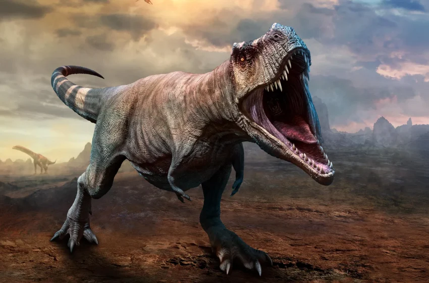  T. rex took 40 years to reach full size, study finds