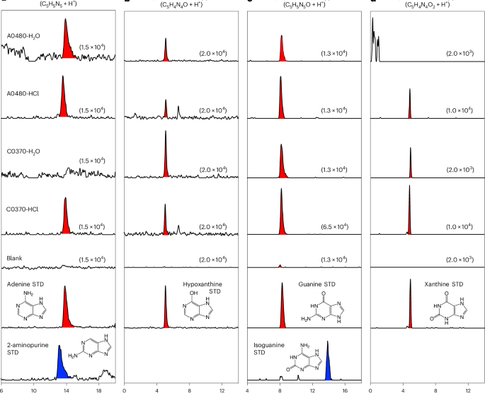  A complete set of canonical nucleobases in the carbonaceous asteroid (162173) Ryugu