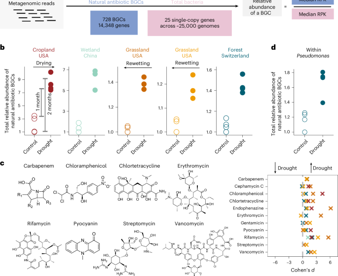  Drought drives elevated antibiotic resistance across soils
