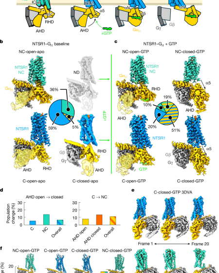  Snapshots of the dynamic basis of NTSR1 G protein subtype promiscuity