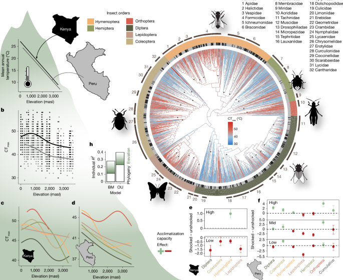  Limited thermal tolerance in tropical insects and its genomic signature