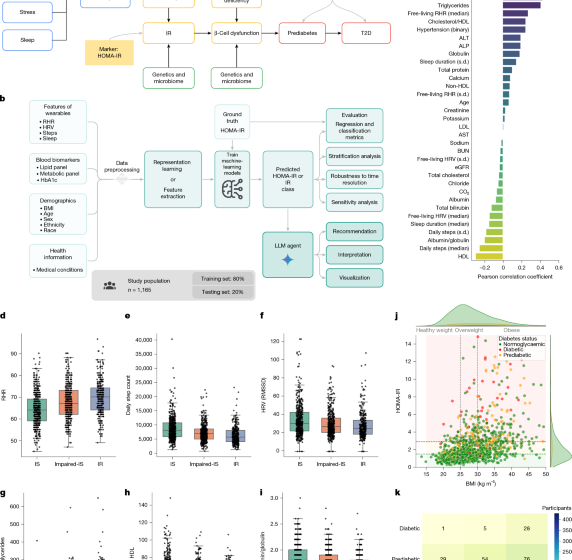 Insulin resistance prediction from wearables and routine blood biomarkers