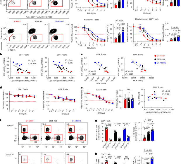  Lipid metabolism drives dietary effects on T cell ferroptosis and immunity