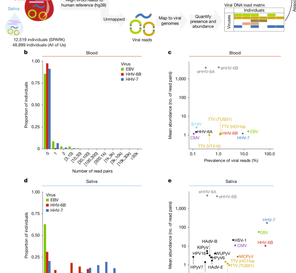  The DNA virome varies with human genes and environments