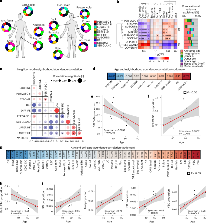 Fig. 4: Neighborhood abundances vary across anatomic sites and during aging.