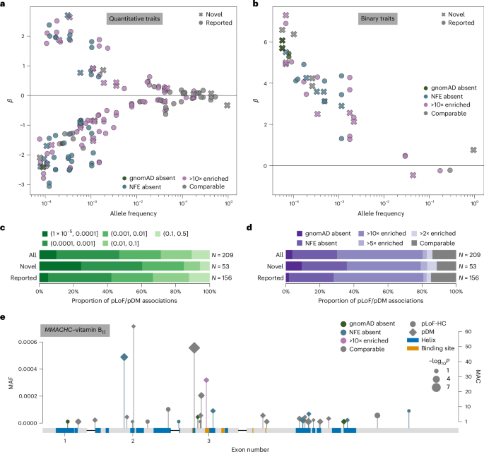 Fig. 2: Rare variant association analyses.