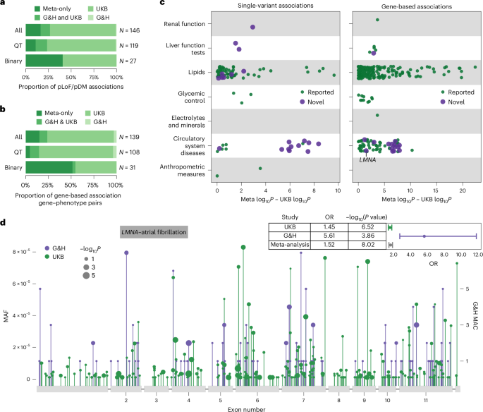 Fig. 3: Meta-analysis and recessive burden analyses.