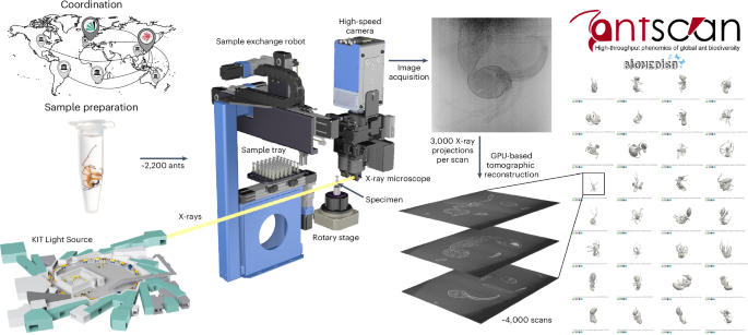  High-throughput phenomics of global ant biodiversity