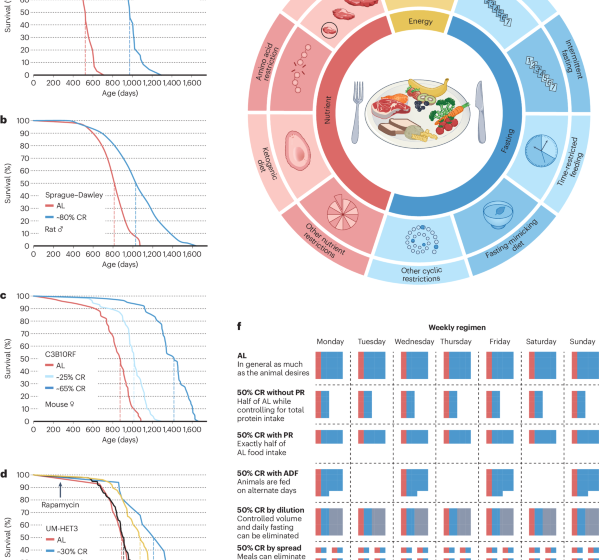  Dietary restriction in aging and longevity