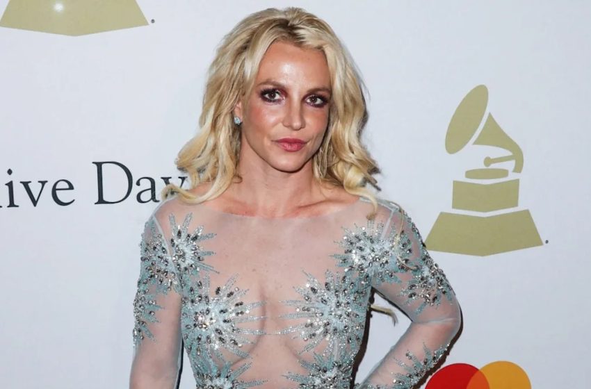  Britney Spears Doesn’t Want Help, Sees ‘Any Sort of Professional Help as a Huge Trap’ (Exclusive)