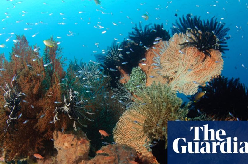  Earth being ‘pushed beyond its limits’ as energy imbalance reaches record high | Oceans