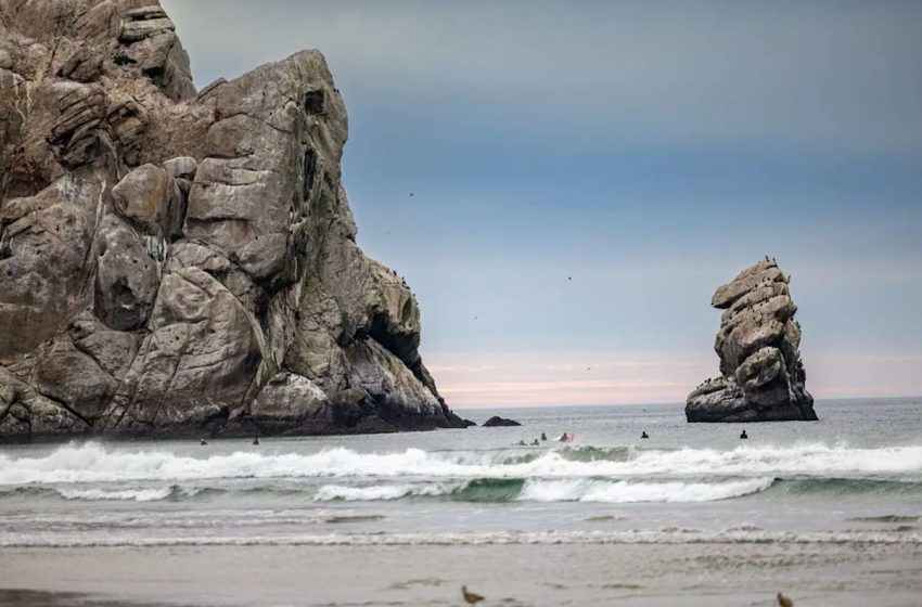  Deadly virus first detected in Bay Area park found in Central California