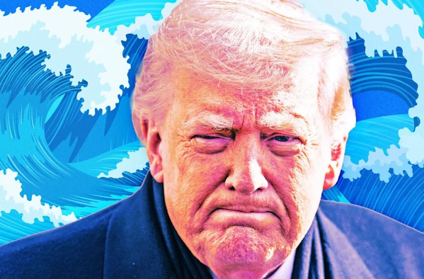  Dems Stunningly Flip Seat in Major Humiliation for Trump