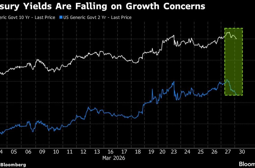  Government Bonds Rally Around the World on Slowdown Concerns