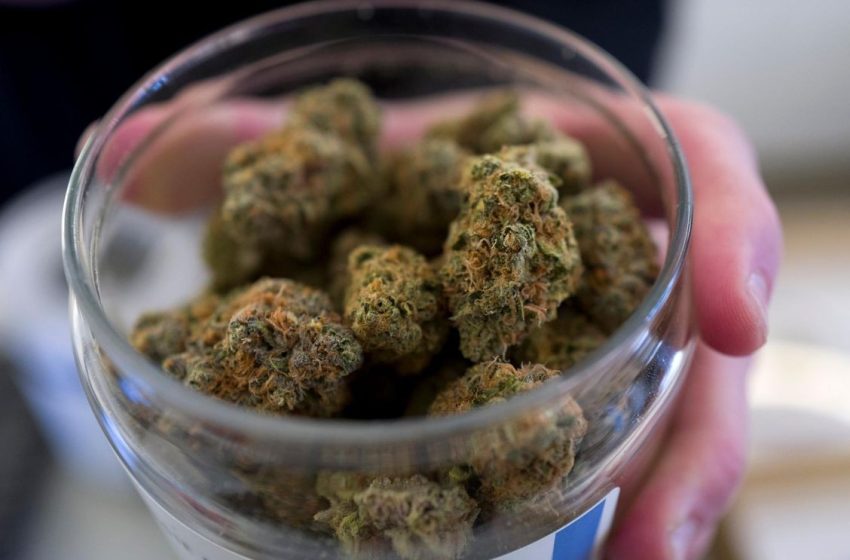  More than half of Washington clinicians cite mental-health risks from cannabis use