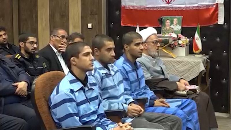  Tehran sends a message with execution of young wrestler and others, say experts