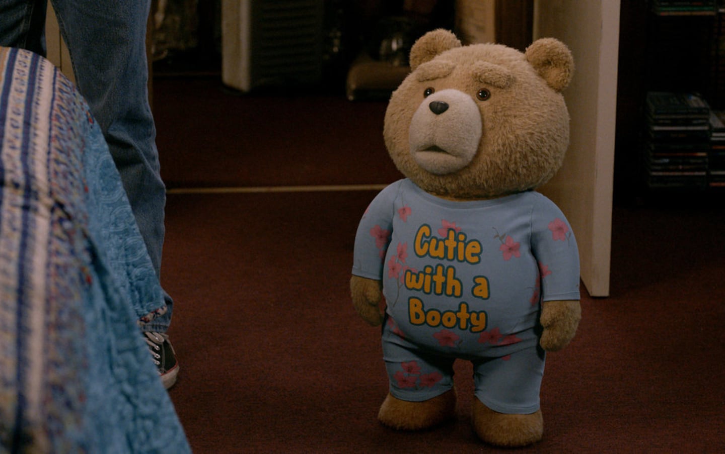 Seth MacFarlane voices Ted.
