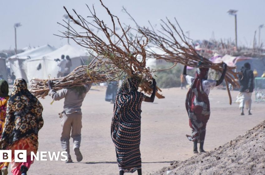  Sexual violence part of 'everyday life' in parts of Sudan, charity says – BBC