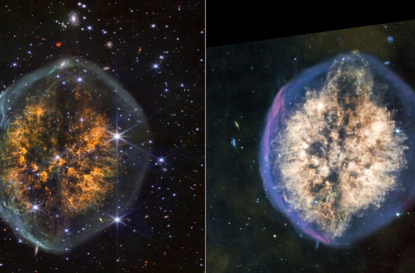  ‘Exposed Cranium’ leaks its gory secrets in new James Webb telescope images: Space photo of the week