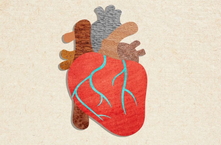  New Cholesterol Guidelines Are Here: Doctors Share the Biggest Changes