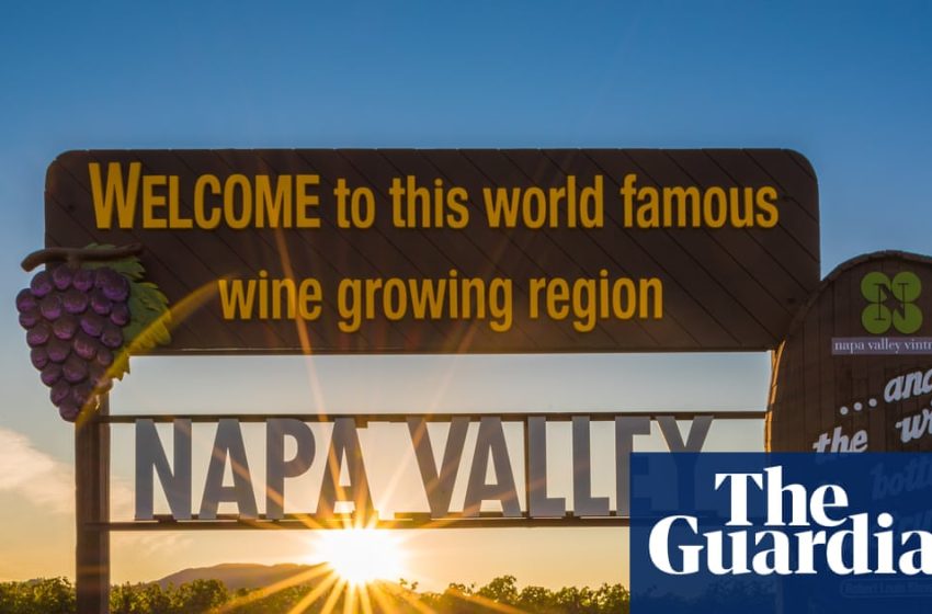  Shifting tastes, shrinking sales: Napa Valley’s wineries adapt amid ‘shocking’ downturn | California