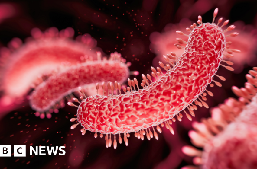  London Legionnaire's outbreaks under investigation – BBC