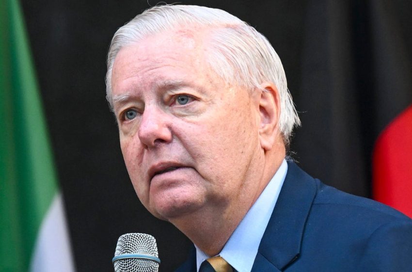  Lindsey Graham Mercilessly Mocked Over Freudian Slip On Trump