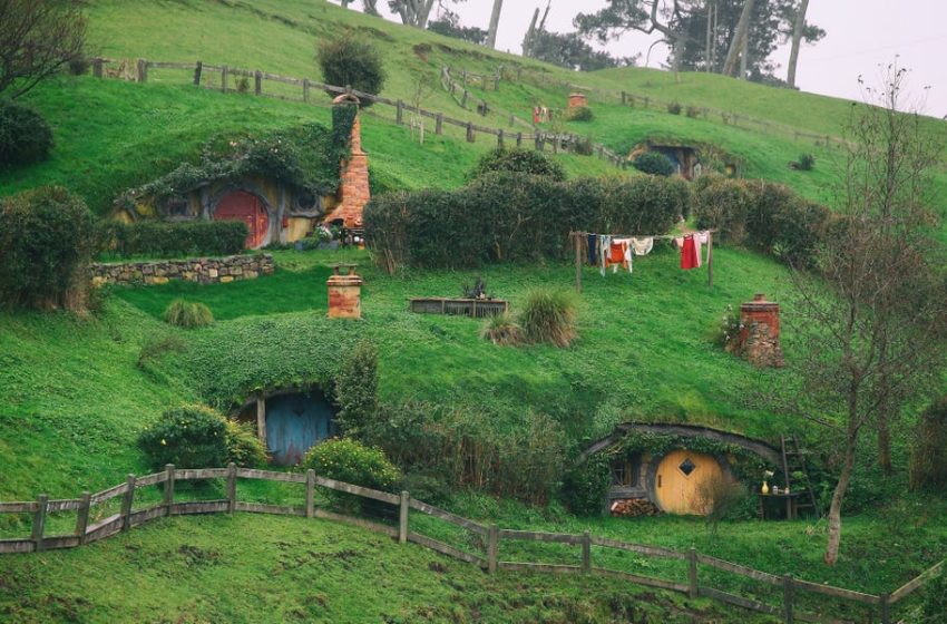  Palantir Urges Former Employees to Return: ‘the Shire Is Calling’
