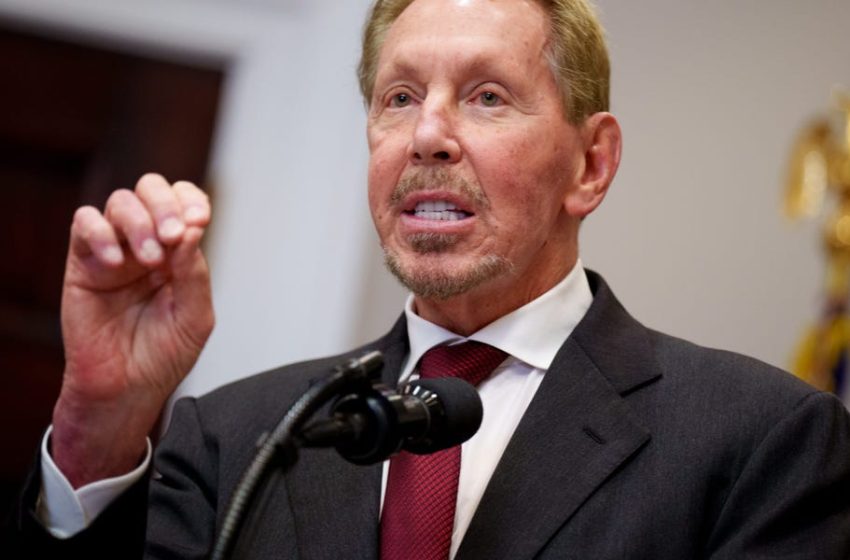  Oracle’s Larry Ellison Downplays Software Apocalypse Fears