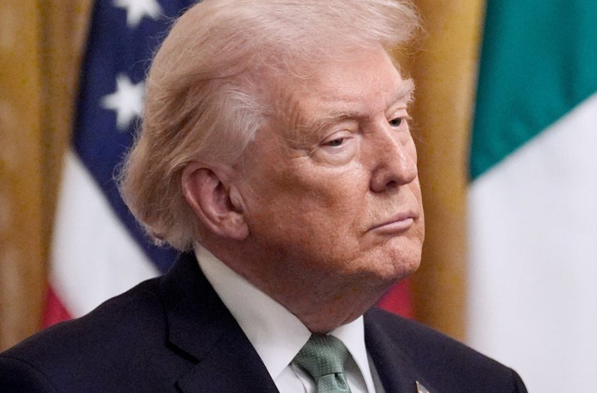  Harry Enten Spots How ‘Chickens Are Coming Home To Roost’ For Trump Right Now